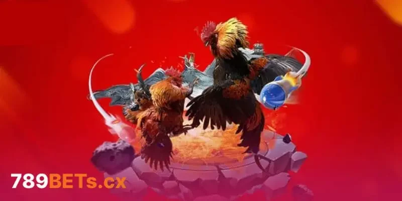Hình thức đá gà trực tuyến